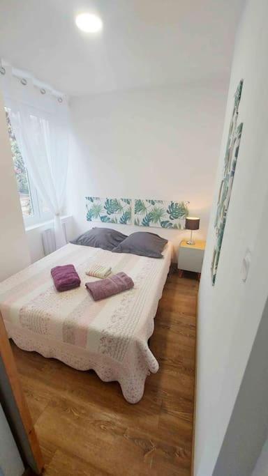 Appartements Cosy Belfort Luaran gambar